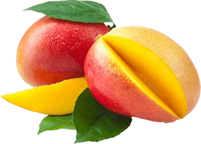 Extracto de Mango Africano - Metabolismo Vascular