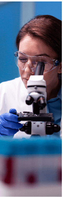 Wissenschaftliche Forschung