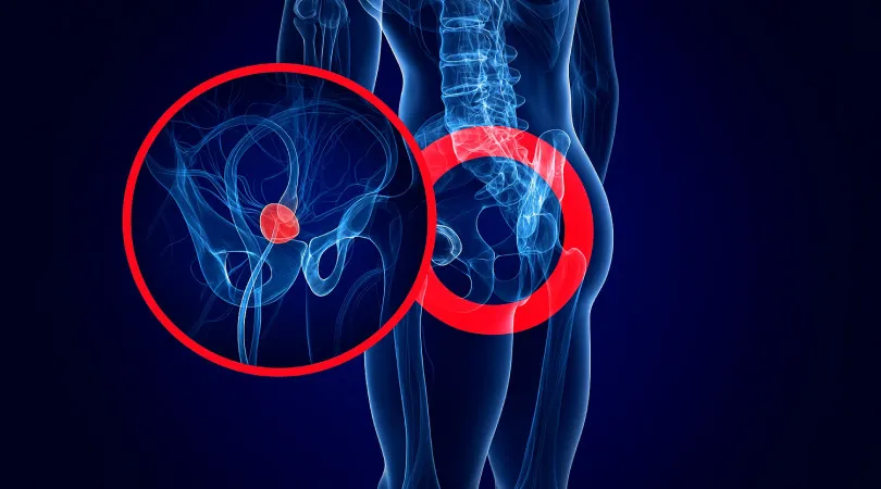 Wykres medyczny prostaty i dróg moczowych